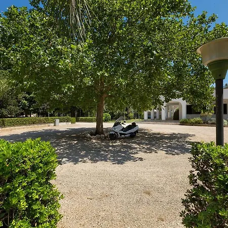 Villa Carol Maglie