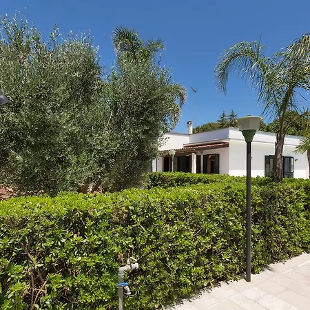 Villa Carol Maglie